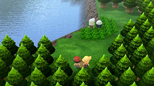 Pokémon Brilliant Diamond & Pokemon Shining Pearl Double Pack - Nintendo Switch - Image 12