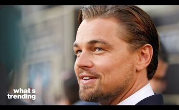 The History of Famed Actor Leonardo DiCaprio The History of Famed Actor Leonardo DiCaprio