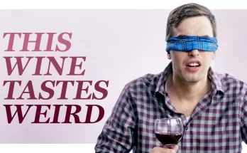 Wine Experts Taste Dogshit Wine