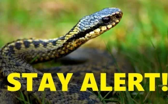 Most Dangerous Animals in your Area this Summer!